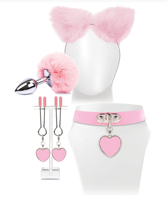 Try Curious Kitty Kit