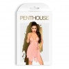Penthouse Sweet Beast Nude M/L