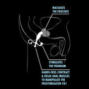 Anal Adventures  Prostrate Stimulator