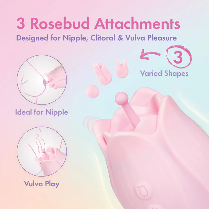 Play With Me Romantic Rose