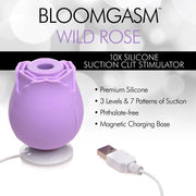 Bloomgasm Wild Rose