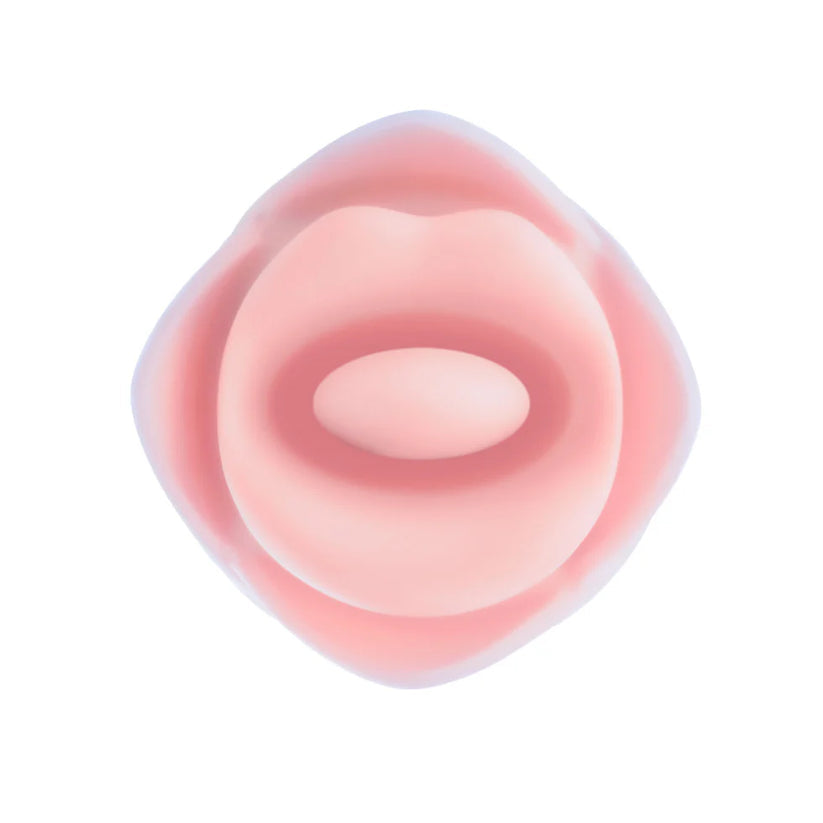 Blush Kissing Rose