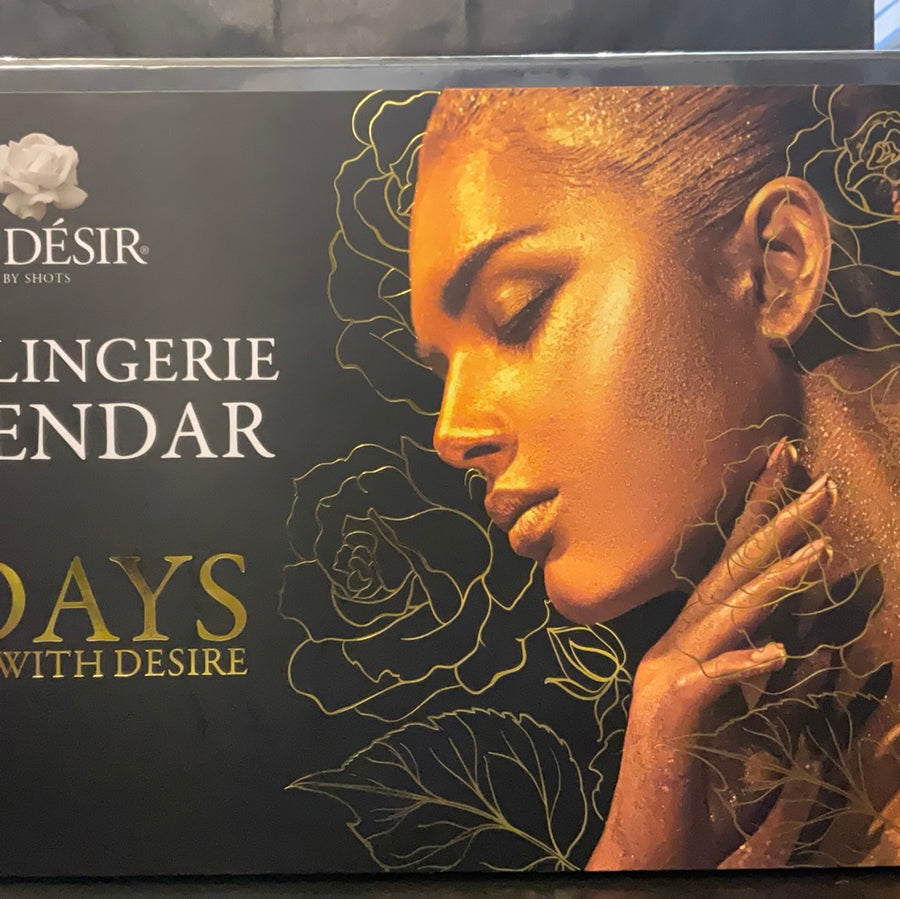 LE DESIR Sexy Lingerie Calendar