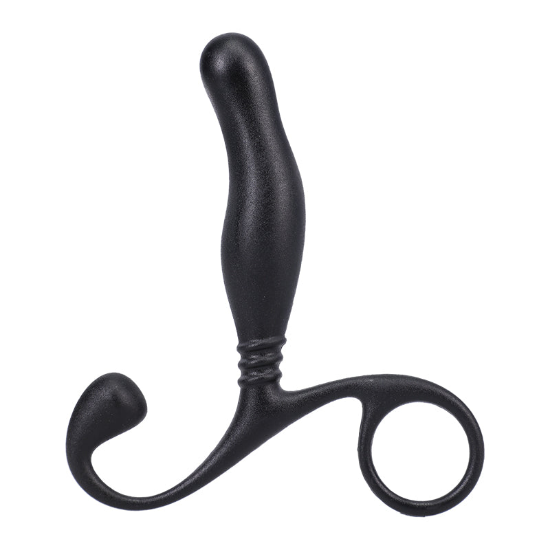 Prostate Massager In a Bag