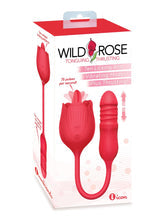 Wild Rose Tongue and Thrusting