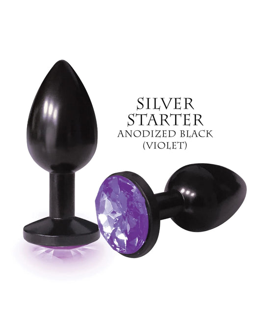 Silver Starter Black & Violet Anal Plug