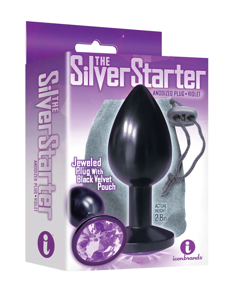 Silver Starter Black & Violet Anal Plug