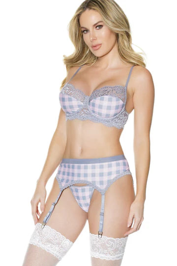Coquette Bra, Garter Belt , And G- String Pink / Gray Small