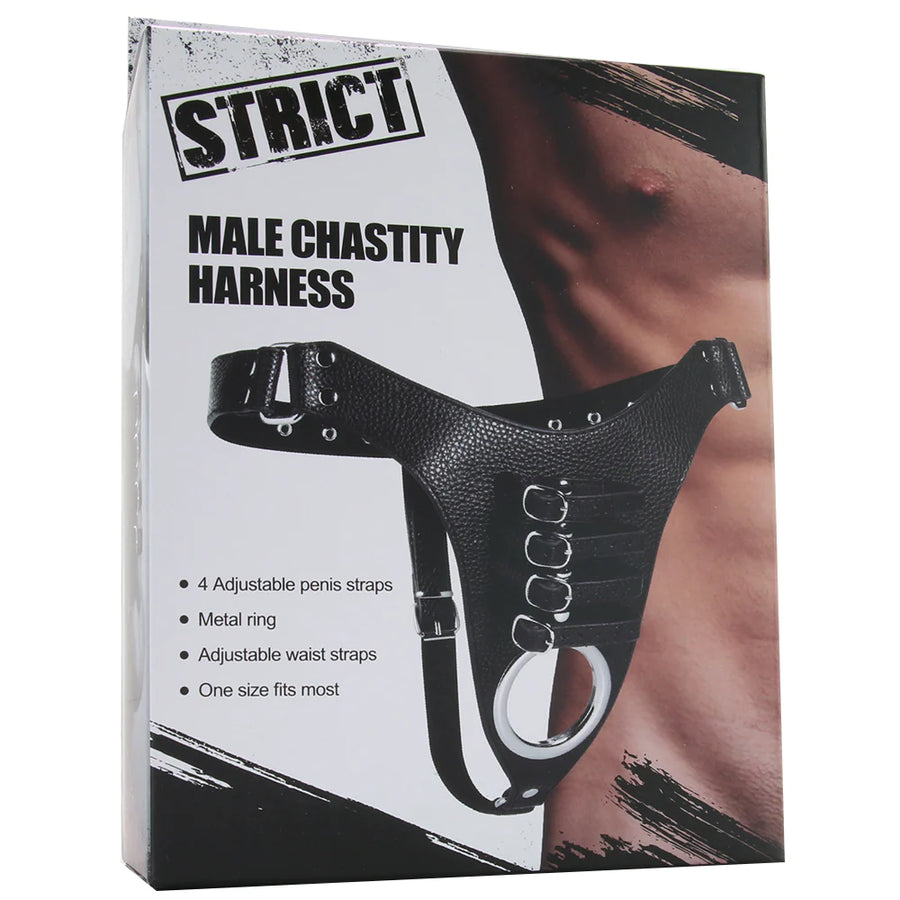 Strict Male Chasity Harness