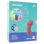 Sexy Secret Panty Vibrator