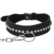 Diamond Studded Collar with Leash