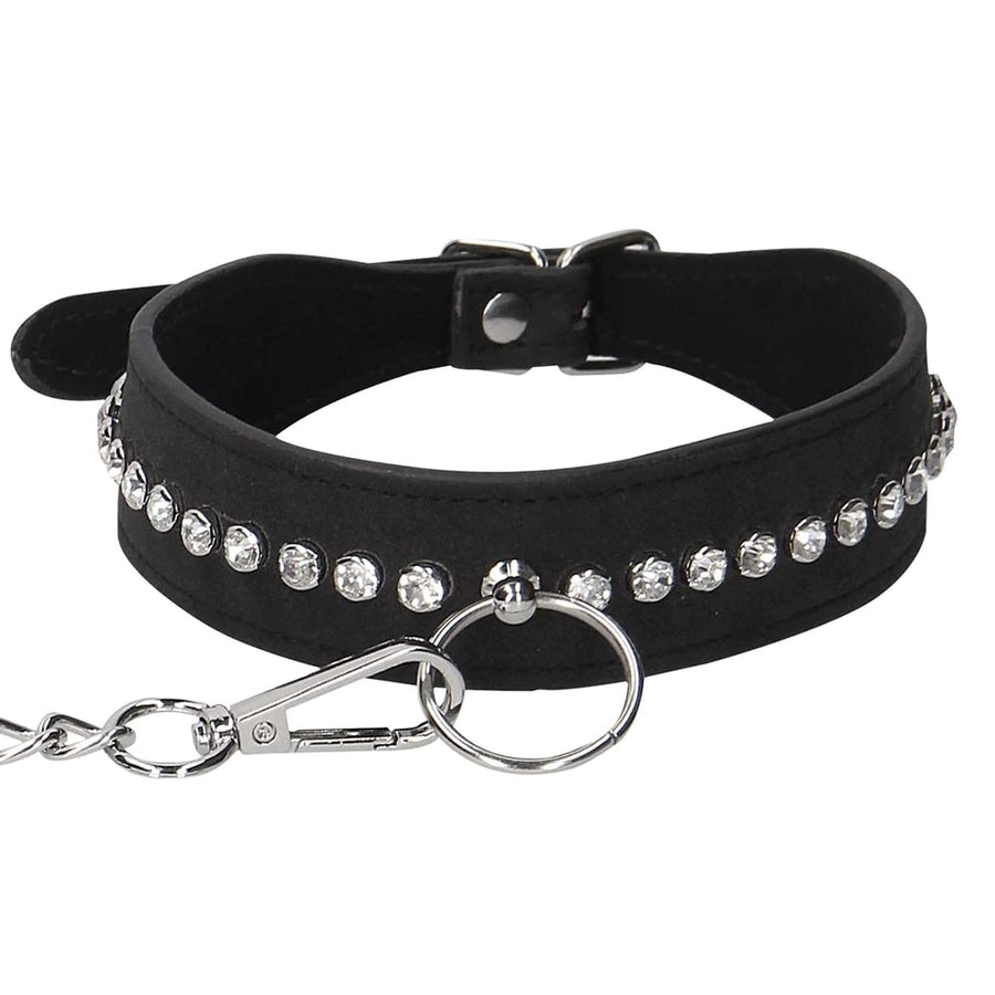 Diamond Studded Collar with Leash