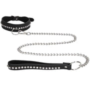 Diamond Studded Collar with Leash