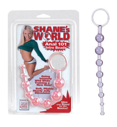 Shanes World Anal 101 Intro Beads Purple