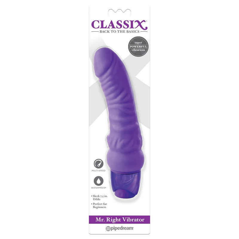 Mr. Right Vibrator Purple