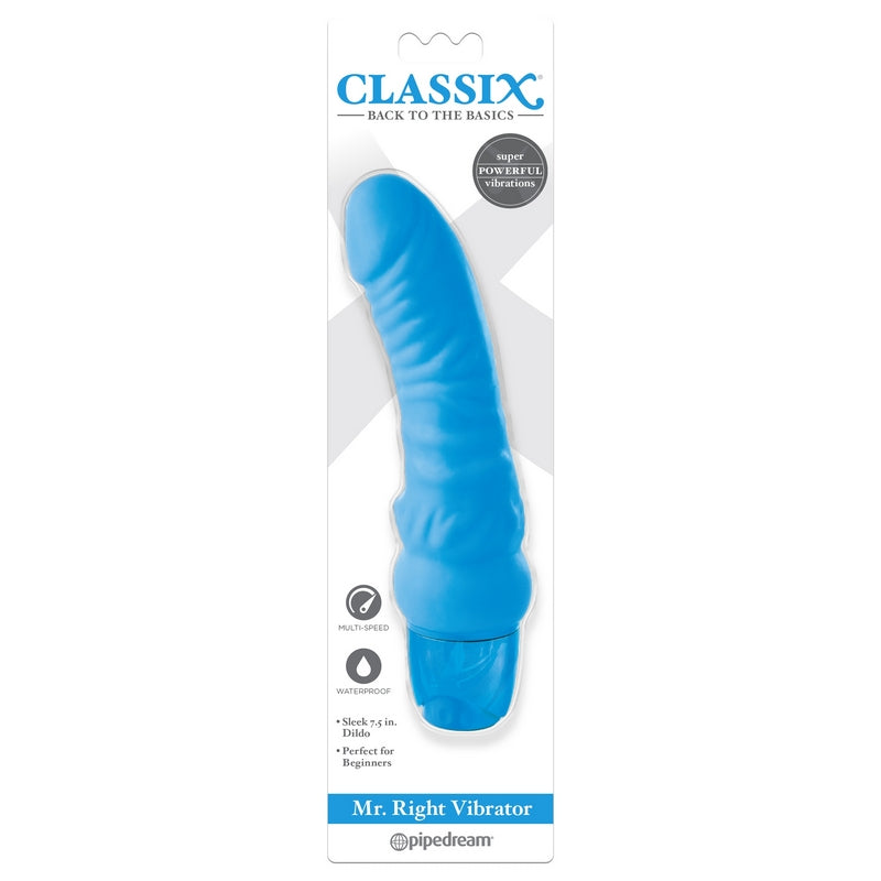 Mr. Right Vibrator Blue